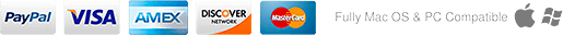 Payment